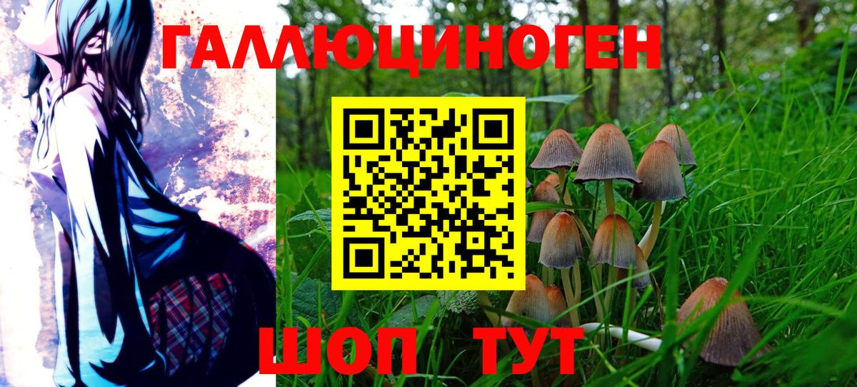 купить наркотик  Галлюциногенные грибы мицелий  Вход с VPN  Котлас 